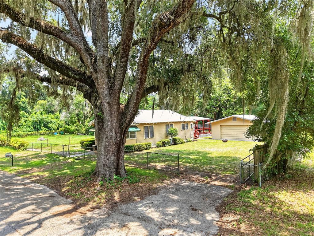 A yellow house with a detached garage sits behind a large tree with Spanish moss — 18727 NW 251ST STREET, HIGH SPRINGS, FL
