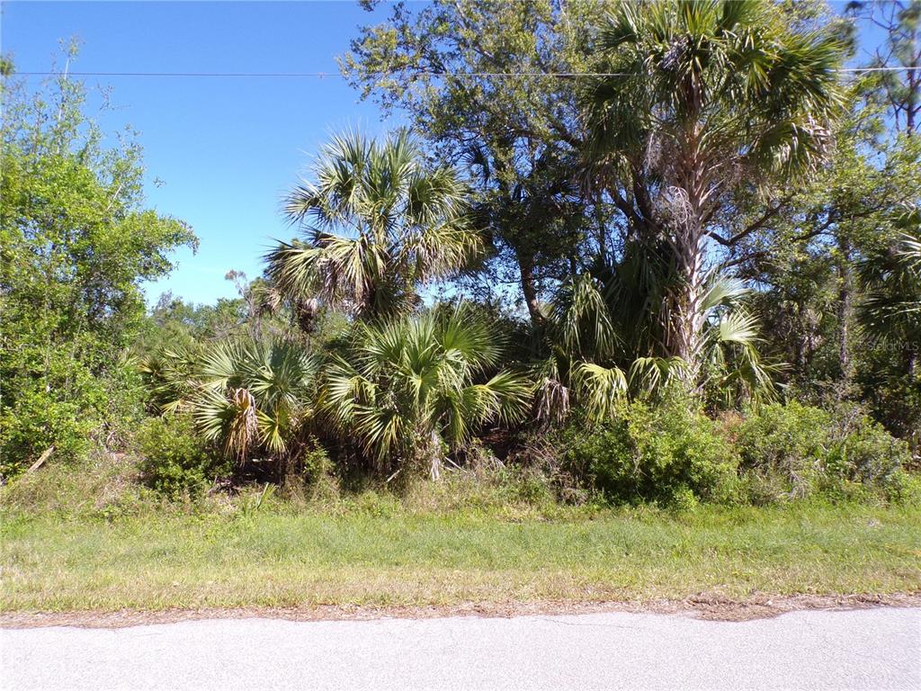A view of a vacant, wooded lot with palm trees and native vegetation along a road — 26272 DEER ROAD, PUNTA GORDA, FL
