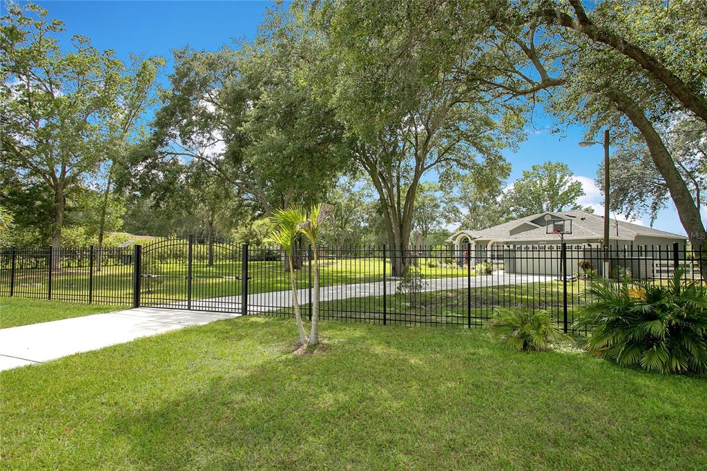 A black metal fence encloses a paved driveway leading to a house surrounded by trees — 19616 LIVINGSTON AVENUE, LUTZ, FL