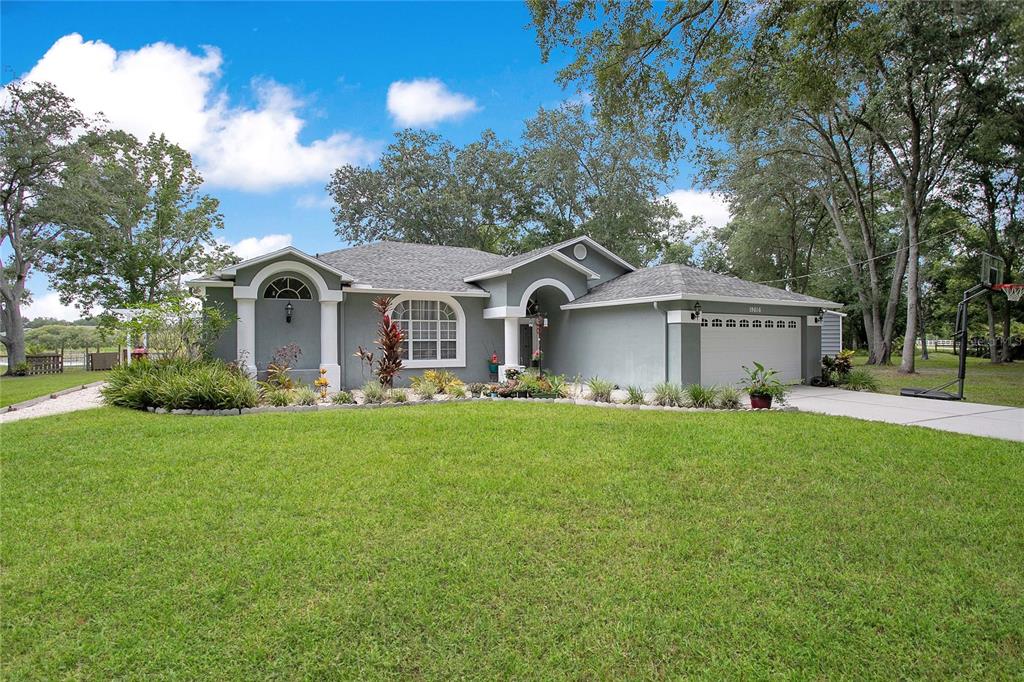 A single-story gray house with a two-car garage and a large front lawn — 19616 LIVINGSTON AVENUE, LUTZ, FL