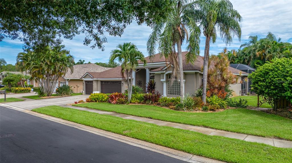 A single-story house with a brown roof, palm trees, and a landscaped front yard — 10675 PARK PLACE DRIVE, SEMINOLE, FL