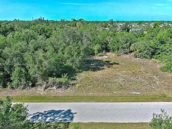 An aerial view shows a vacant, partially wooded residential lot bordering a paved road — 11117 1ST AVENUE, PUNTA GORDA, FL