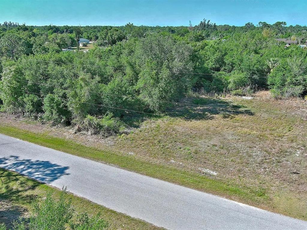 An elevated view shows a paved road bordering a vacant, tree-covered lot — 11117 1ST AVENUE, PUNTA GORDA, FL