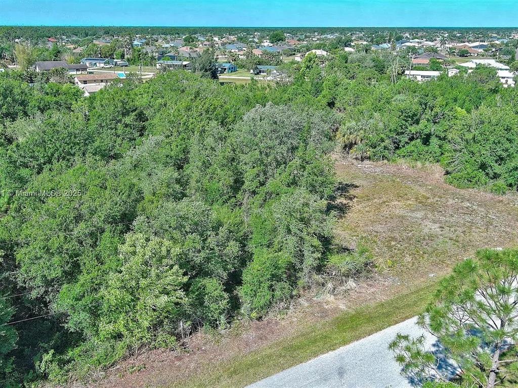 An aerial view shows a vacant, tree-covered lot adjacent to a paved road — 11117 1ST AVENUE, PUNTA GORDA, FL