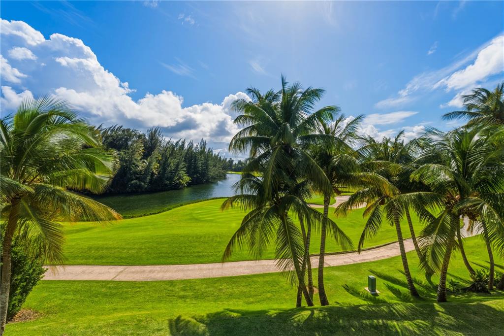 A view of a golf course fairway, a pond, and palm trees under a blue sky — G8 ATLANTIC DRIVE, 7000 BAHIA BEACH BLVD., RIO GRANDE, PR