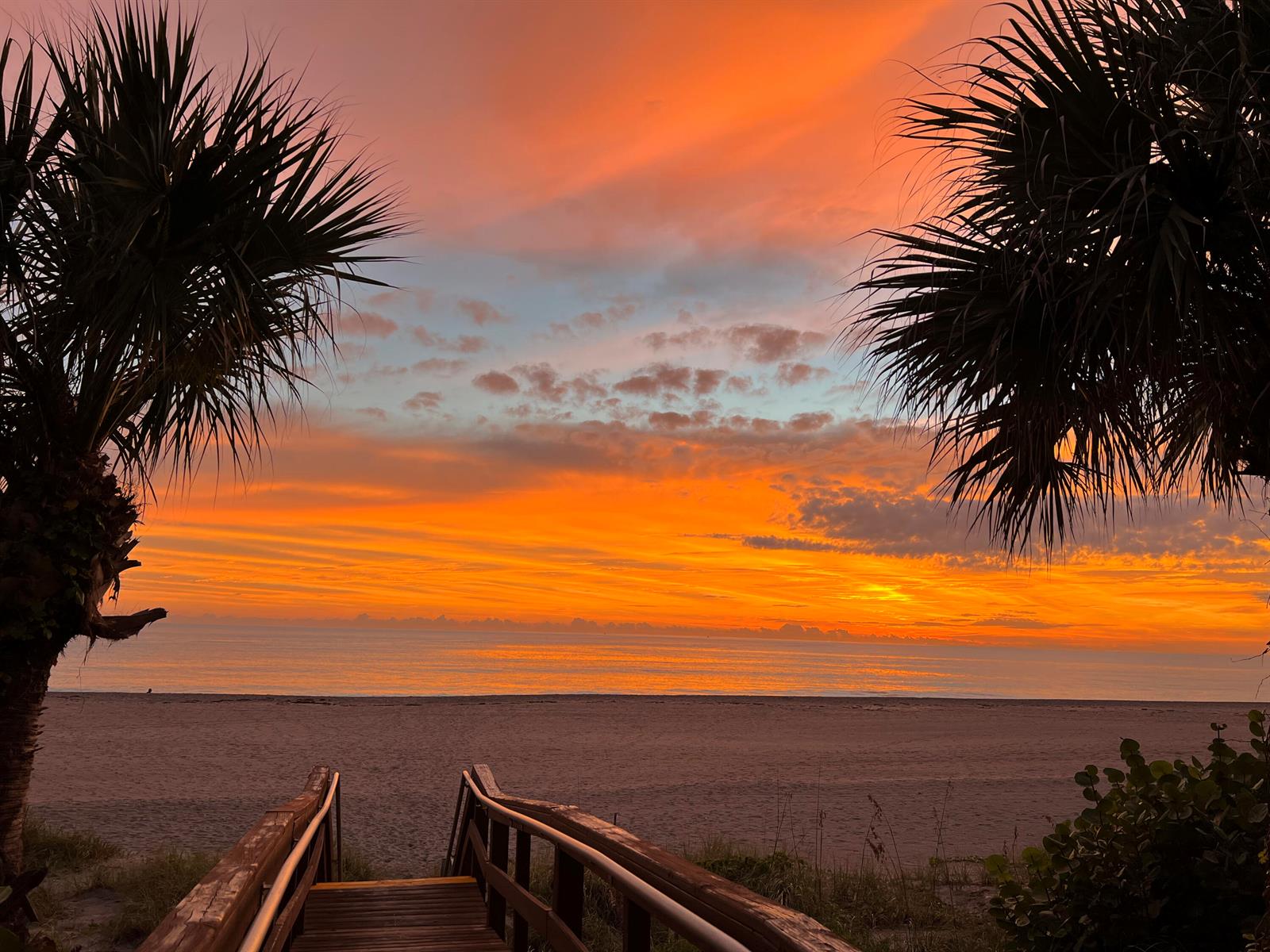 A wooden boardwalk leads to a sandy beach framed by palm trees at sunset — 400 Ocean Trail Way # 101, Jupiter FL 33477, JUPITER, FL