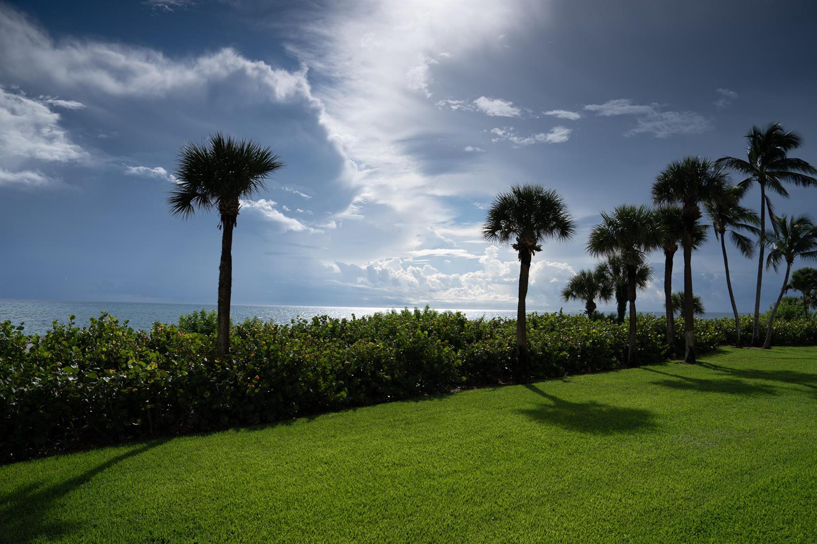 A grassy lawn with palm trees overlooks the ocean under a cloudy blue sky — 400 Ocean Trail Way # 101, Jupiter FL 33477, JUPITER, FL