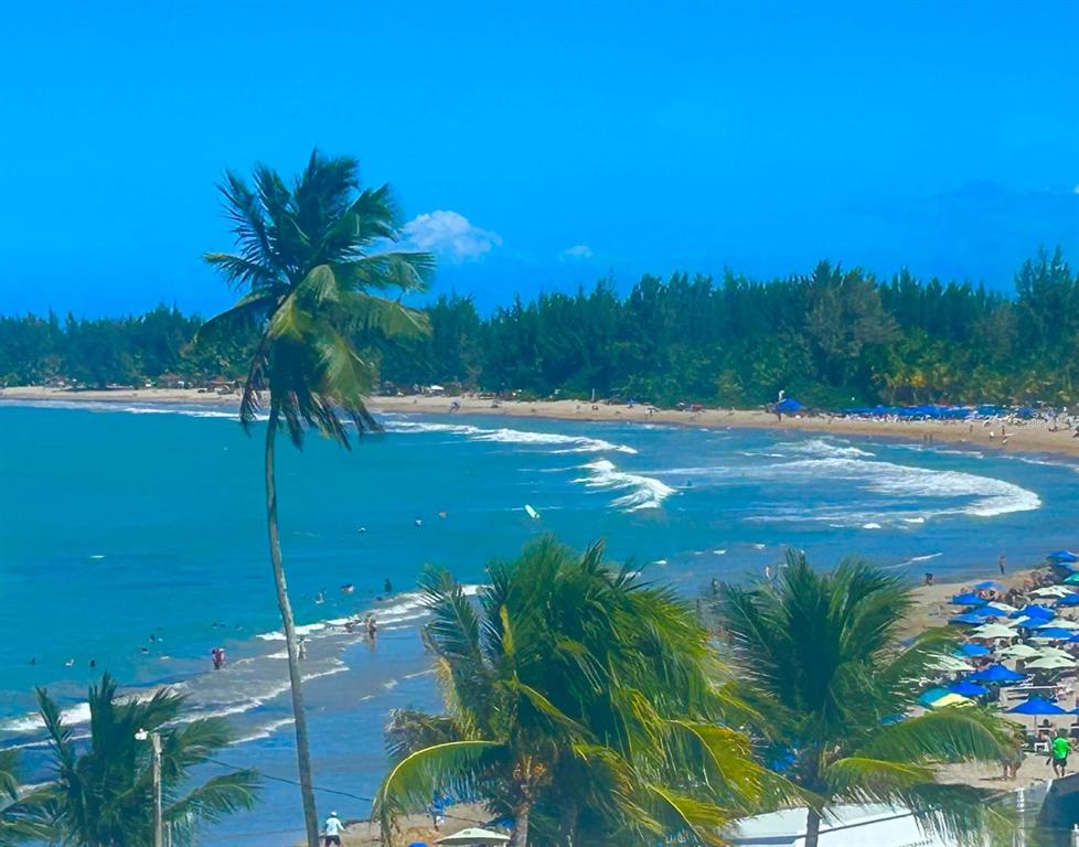 A high-angle view of a sandy beach with palm trees, ocean waves, and beach umbrellas — Cond Esmeralda #7 CALLE AMAPOLA UNIT 602, CAROLINA, PR