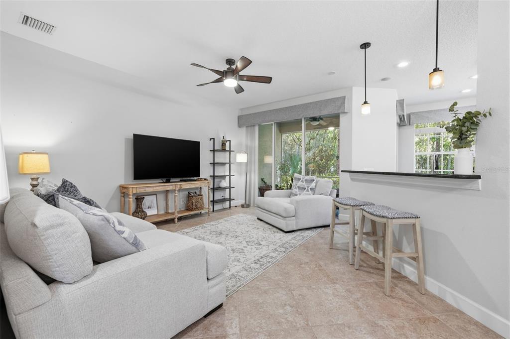 A living room with a sofa, armchair, television, and a breakfast bar with two stools — 14613 MIRABELLE VISTA CIRCLE, TAMPA, FL