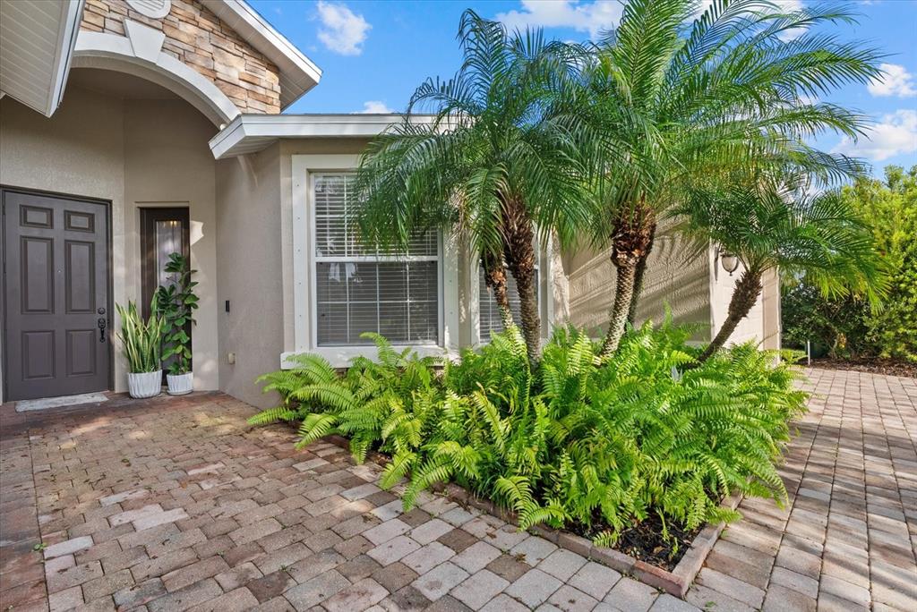 A paved walkway leads to the front entrance of a house with palm trees — 6634 38TH STREET E, SARASOTA, FL