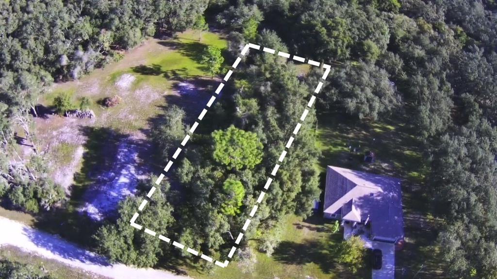An aerial view shows a rectangular plot of land outlined with a dashed white border — 34429 MANUEL STREET, WEBSTER, FL