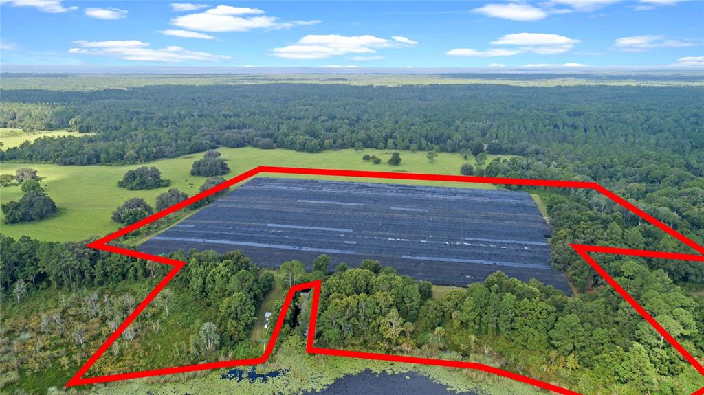 00 SILVER POND ROAD, SEVILLE, FL — photo 2 of 18