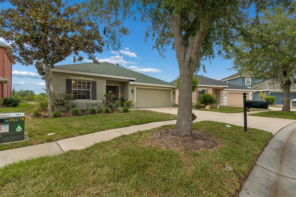 A single-story house with a green roof, tan exterior, and a two-car garage — 20122 NOB OAK AVENUE, TAMPA, FL
