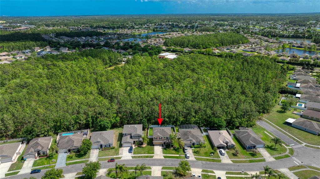 An aerial view shows a suburban house with a red arrow pointing to its roof — 5266 PLANTATION HOME WAY, PORT ORANGE, FL