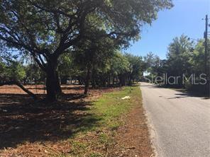 A paved road runs alongside a vacant, tree-covered lot under a clear blue sky — 2801 11TH AVENUE E, BRADENTON, FL