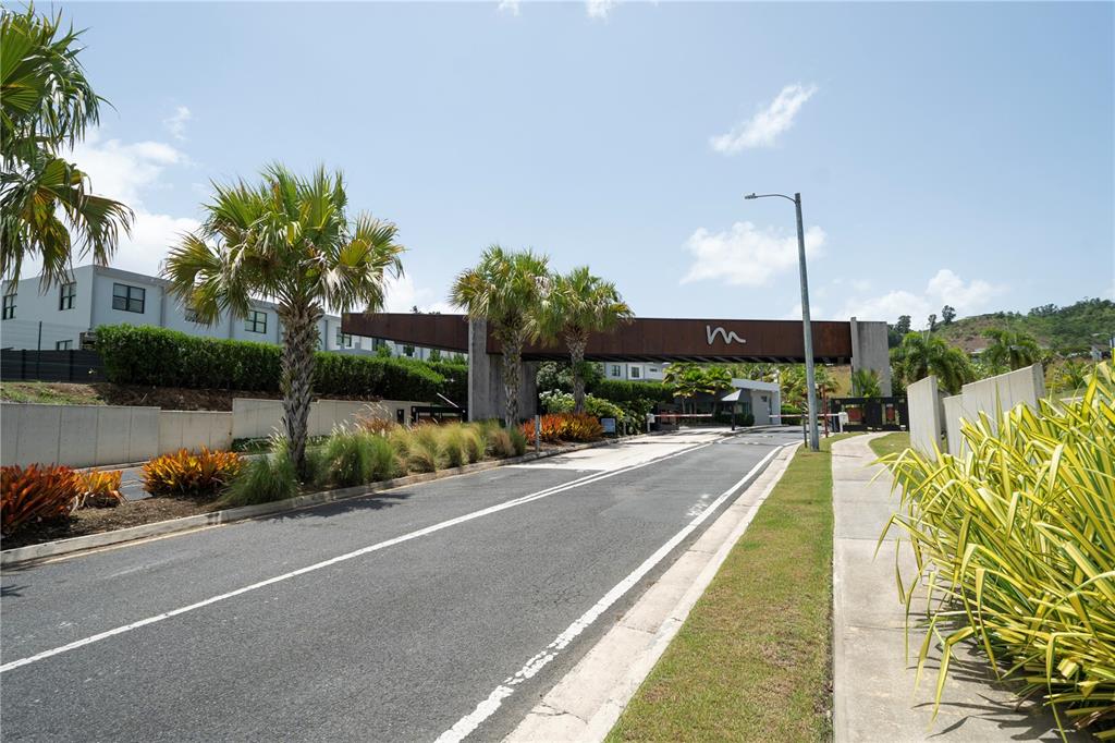 A paved road leads to the gated entrance of a residential community with palm trees — Calle 13 UNIT 134, GUAYNABO, PR