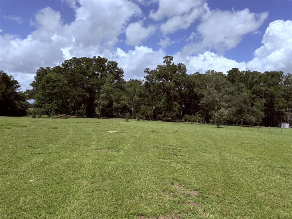 A large, grassy, open field is bordered by a dense line of mature trees — 628 NE 816 AVENUE, OLD TOWN, FL
