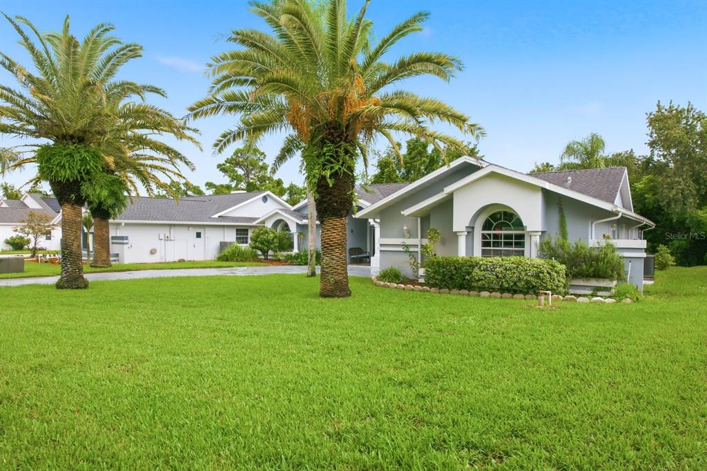 A gray single-story house with a large lawn and two prominent palm trees in front — 8218 MELISSA COURT, HUDSON, FL