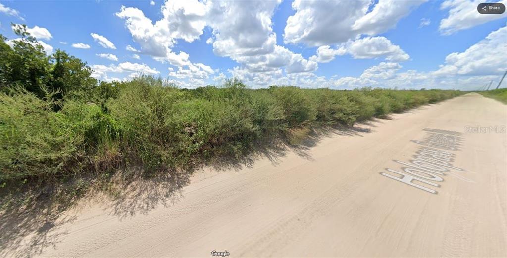 A dirt road runs alongside a dense line of green shrubs under a cloudy sky — HOLOPAW GROVES ROAD, ST CLOUD, FL