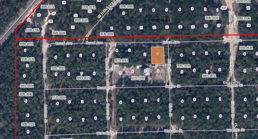 115 DUVAL AVENUE, FLORAHOME, FL — photo 3 of 3