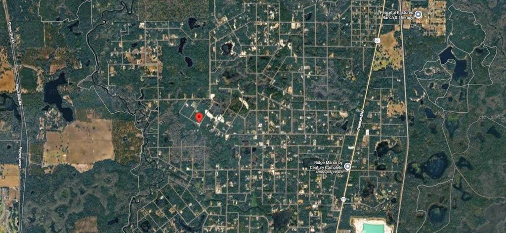 This is an aerial map view showing a red location pin within a wooded area — 20122 MEDICINE STONE #10 DRIVE, WEBSTER, FL
