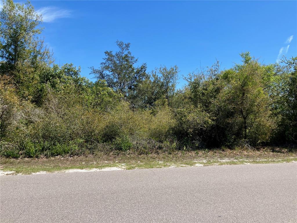 A paved road runs in front of a densely wooded, undeveloped lot under a blue sky — 273 OMEN STREET, PUNTA GORDA, FL