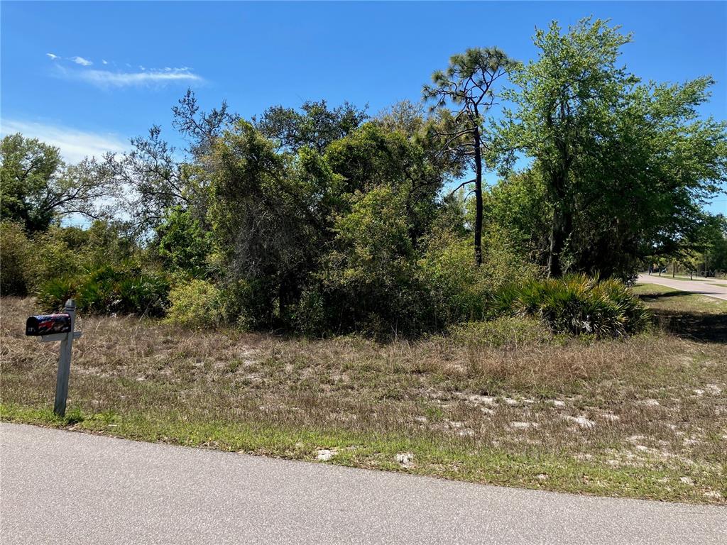 A vacant, wooded lot sits along a paved road with a mailbox in the foreground — 273 OMEN STREET, PUNTA GORDA, FL