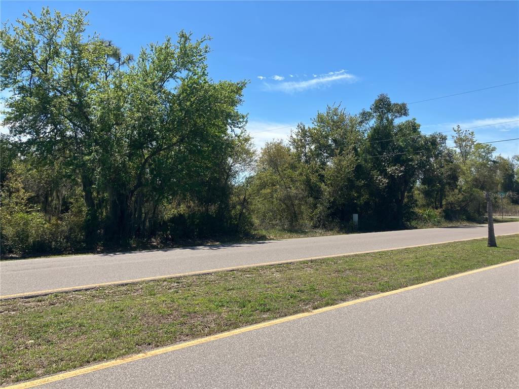 A paved road runs in front of a wooded, undeveloped lot under a clear sky — 273 OMEN STREET, PUNTA GORDA, FL