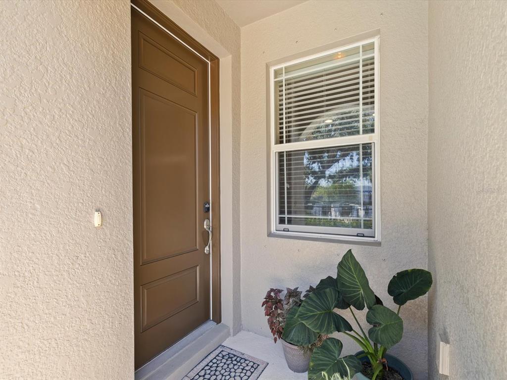 A brown front door sits next to a window and a potted plant on a porch — 450 HARBOR SPRINGS DRIVE, PALM HARBOR, FL