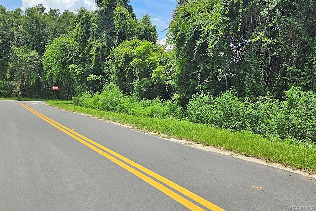 A paved road with double yellow lines runs alongside a dense, wooded area — 1606 CALDWELL STREET, INVERNESS, FL