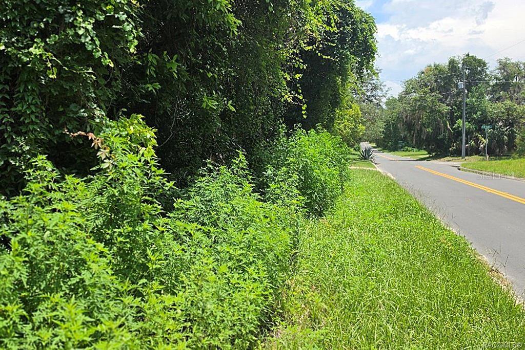 A paved road runs alongside a grassy shoulder and a dense line of trees — 1606 CALDWELL STREET, INVERNESS, FL