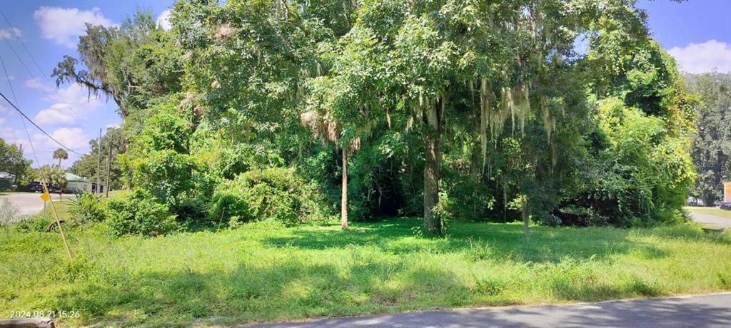 A grassy, tree-filled vacant lot sits along a paved road under a blue sky — 1980 S TSALA TERRACE, INVERNESS, FL