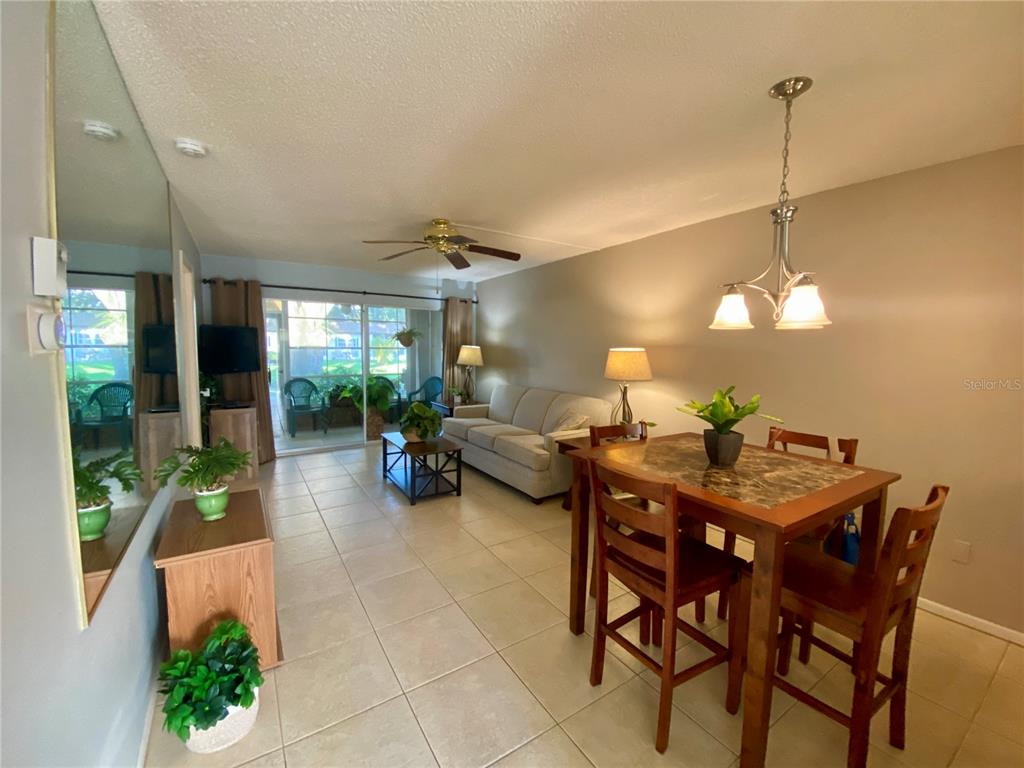 A view through an open door and screen door looking out toward a swimming pool — 3157 MISSION GROVE DRIVE, PALM HARBOR, FL