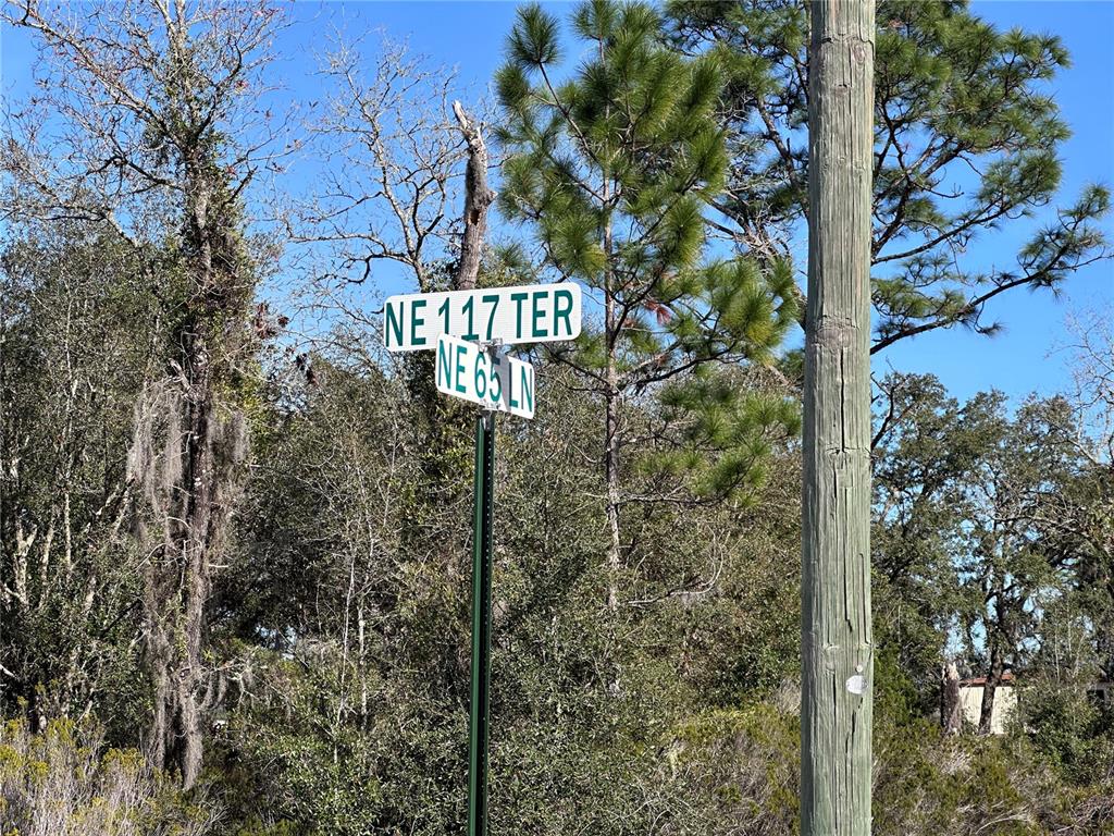 A street sign stands at an intersection in a wooded area next to a utility pole — tbd NE 117TH TERRACE, WILLISTON, FL