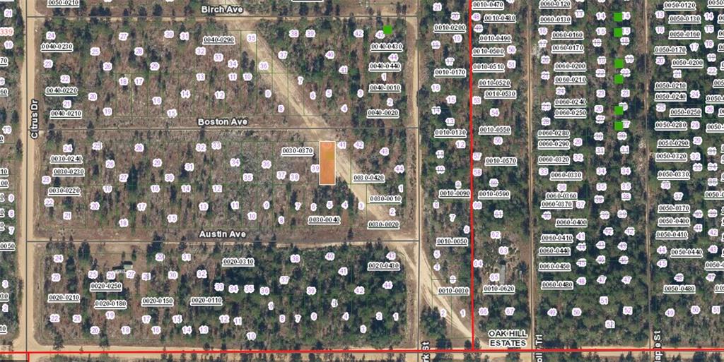 This is a satellite map showing residential land parcels and street layouts in a wooded area — XX BOSTON AVE, INTERLACHEN, FL