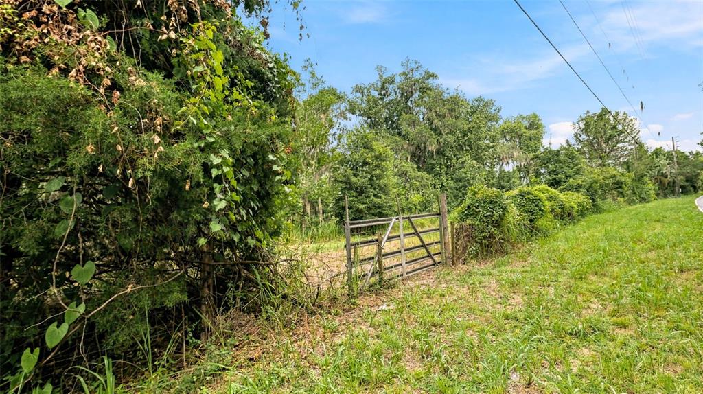 A metal gate stands in a grassy field bordered by dense trees and vegetation — 0 CEDAR LANE, BROOKSVILLE, FL