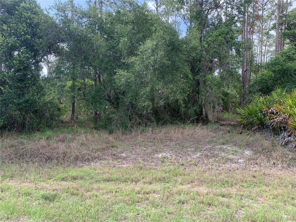 A vacant, wooded lot features a grassy foreground and dense trees in the background — 17505 CLOVER, PORT CHARLOTTE, FL