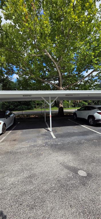 Two covered parking spaces are situated beneath a large tree in an outdoor lot — 9306 LAKE CHASE ISLAND WAY, TAMPA, FL