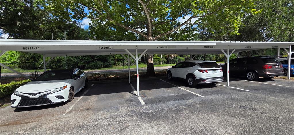 A covered parking area with three cars parked under a metal structure — 9306 LAKE CHASE ISLAND WAY, TAMPA, FL