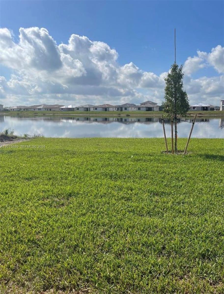 A grassy lot overlooks a lake with houses visible on the opposite shore — 4982 Brigata Way, Ave Maria FL 34142, AVE MARIA, FL