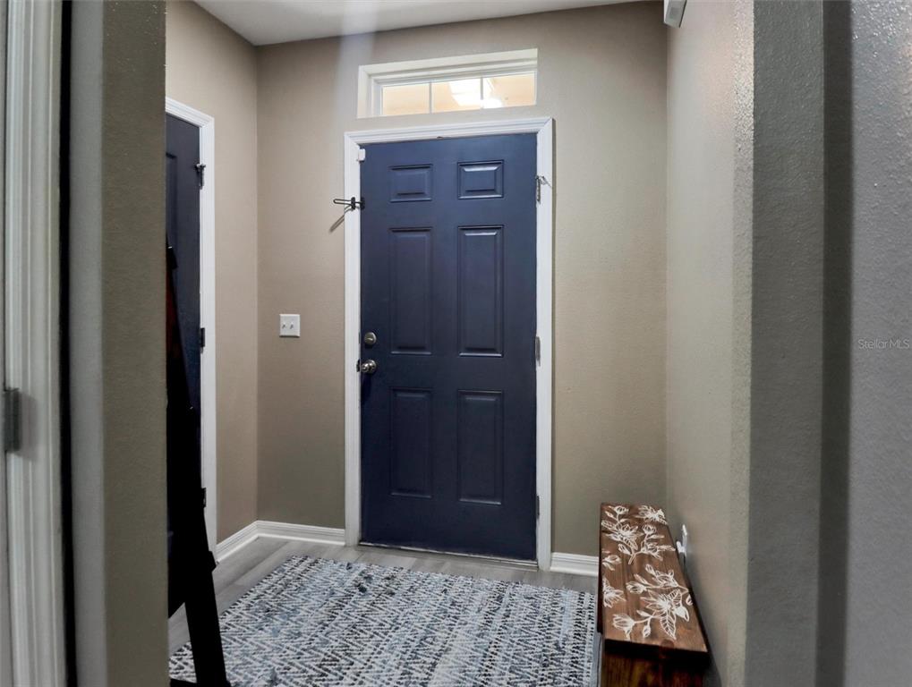 10408 WHISPERING HAMMOCK DRIVE, RIVERVIEW, FL — photo 3 of 19