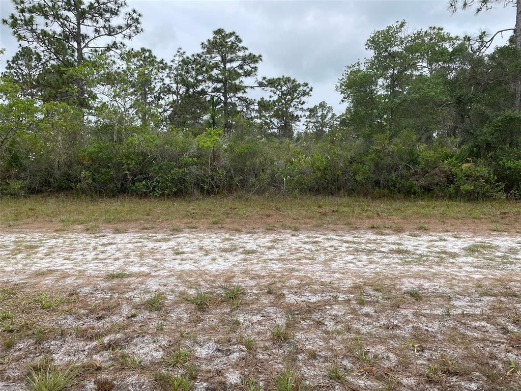 A view of a sandy, undeveloped lot with a dense line of trees in the background — 0 BOUGAINVILLEA DRIVE, INDIAN LAKE ESTATES, FL