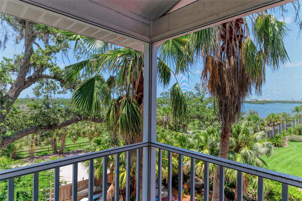 A screened-in balcony overlooks a lush backyard with palm trees and a distant body of water — 8963 FISHERMENS BAY DRIVE, SARASOTA, FL