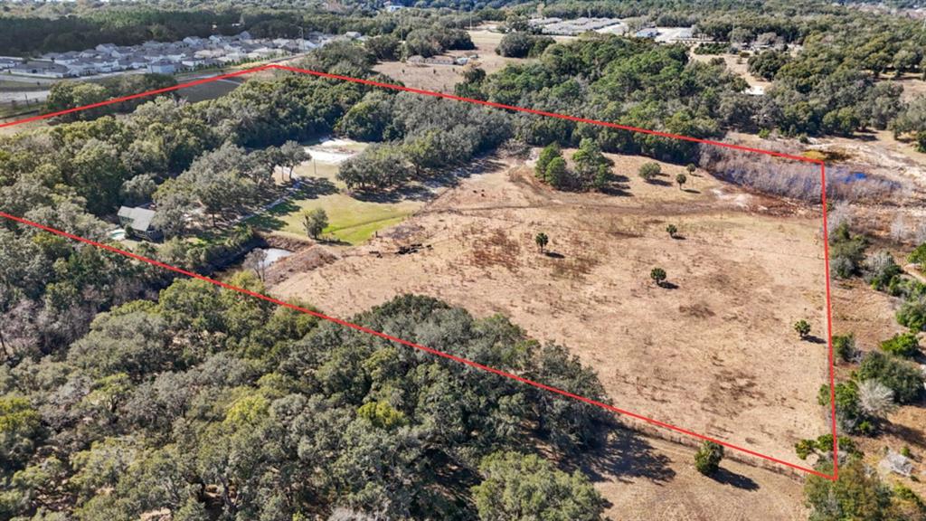 An aerial view shows a large, partially wooded plot of land outlined in red — 19621 LAKE LINCOLN LANE, EUSTIS, FL