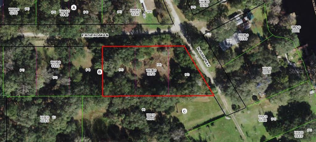 This is a satellite map showing a highlighted rectangular plot of land — 9368 E RIVEROAK LANE, INVERNESS, FL