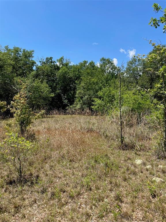 A grassy, partially wooded lot under a clear blue sky — 9368 E RIVEROAK LANE, INVERNESS, FL