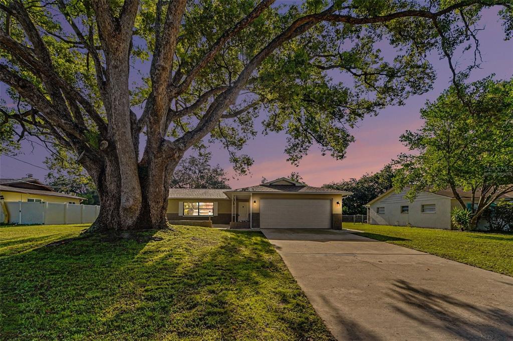 A single-story house with a large tree in the front yard and a concrete driveway — 1364 DILL AVENUE, SPRING HILL, FL