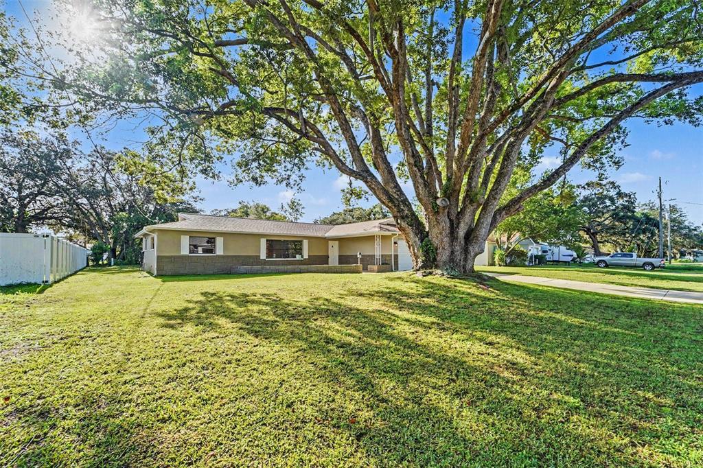 A single-story house with a large tree in the front yard and a white fence — 1364 DILL AVENUE, SPRING HILL, FL