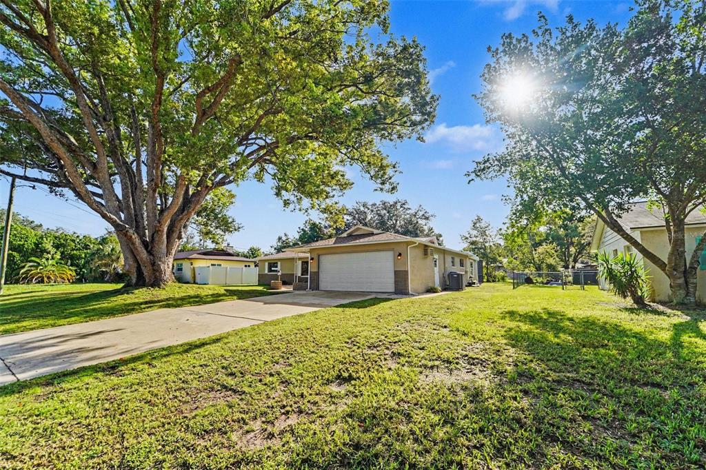 A single-story house with a garage and a large tree in the front yard — 1364 DILL AVENUE, SPRING HILL, FL