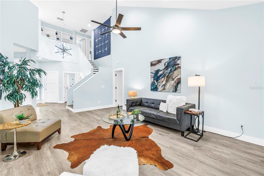A living room features light blue walls, a vaulted ceiling, and a cowhide area rug — 355 RED CEDAR COURT NE, ST PETERSBURG, FL
